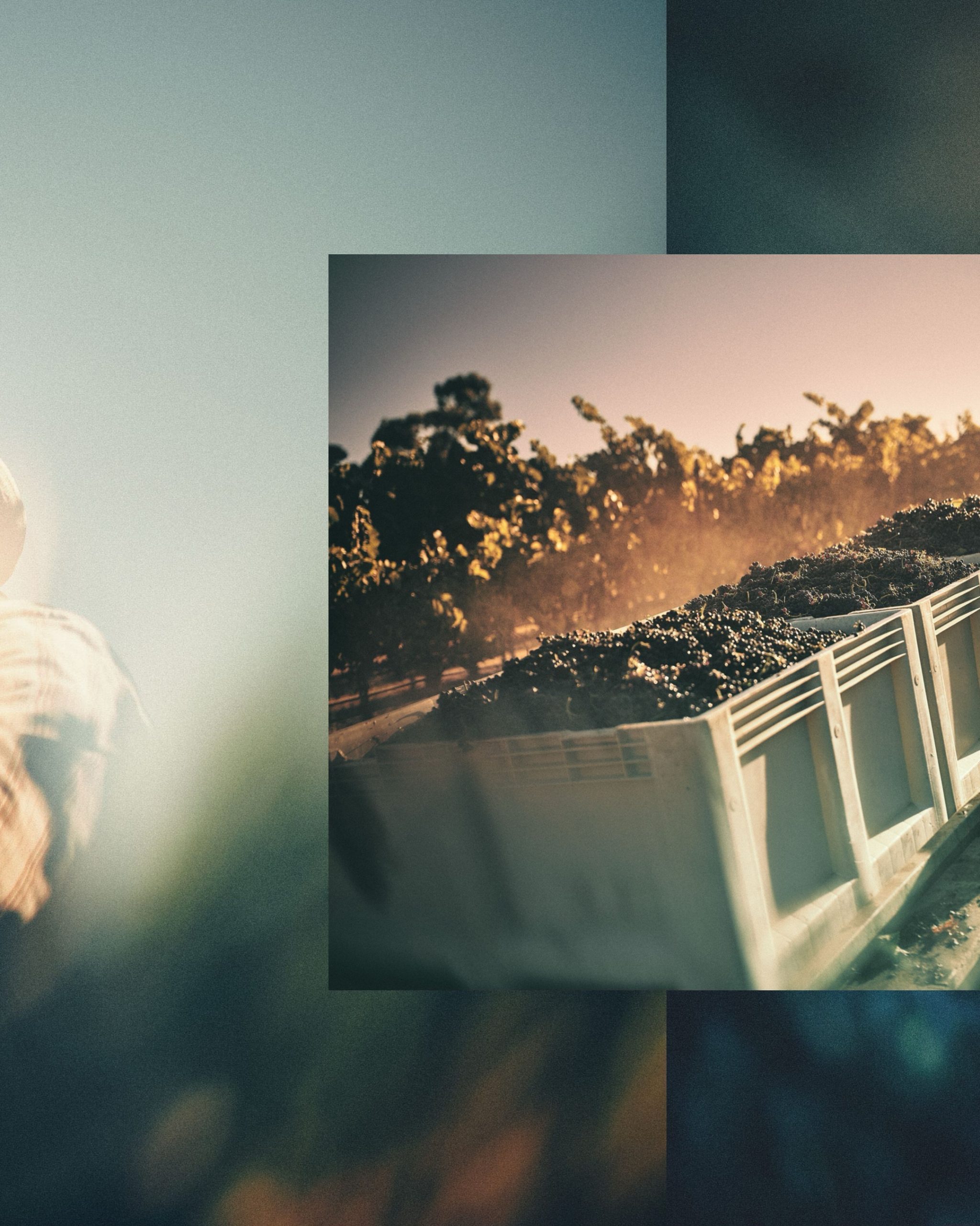 Gallery slide